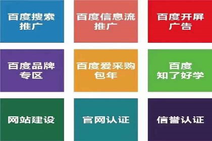 百度网络推广案例：揭秘行业领军企业如何保持竞争力